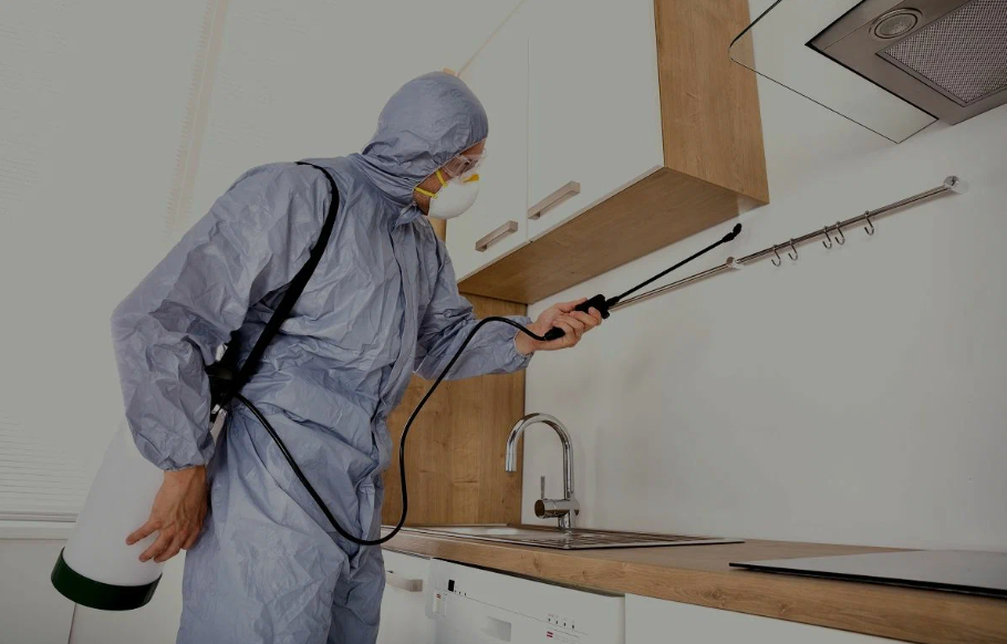 Tulare pest managment